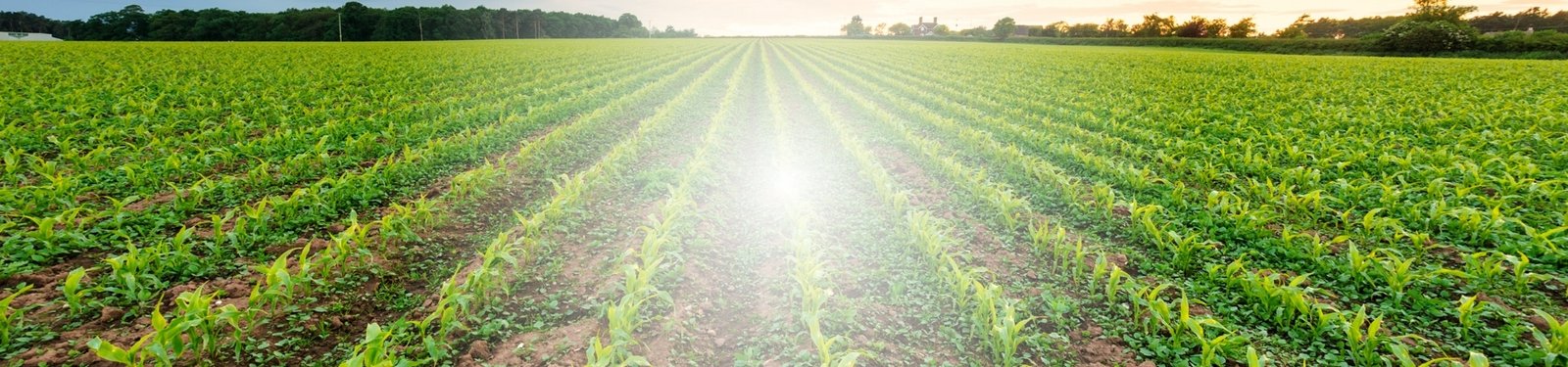 GreenSat plataforma de observación de la Tierra que utiliza datos satelitales para sostenibilidad y monitoreo ambiental